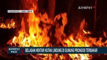 Kebakaran Hutan Lindung di Gunung Prongos Ponorogo Meluas Mendekati Permukiman Warga!