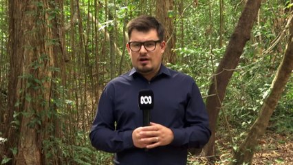 Police divers to continue search of Mossman Gorge after suspected human remains were found