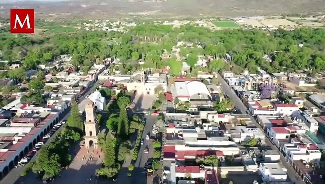 ¿Cuáles son los riesgos de comer carne de perro y por qué es ilegal en México?