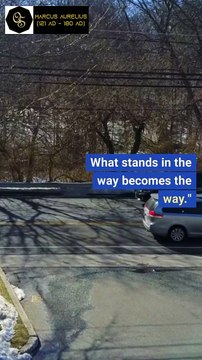 Marcus Aurelius Quotes: Wisdom of a Stoic Emperor | The Quoted Soul #quotes #viral #shorts #quote