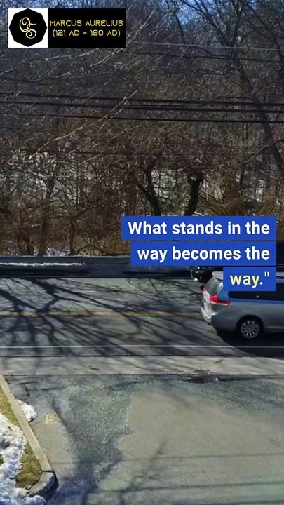 Marcus Aurelius Quotes: Wisdom of a Stoic Emperor | The Quoted Soul #quotes #viral #shorts #quote