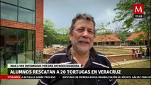 20 tortugas fueron rescatadas por alumnos de una universidad en Veracruz