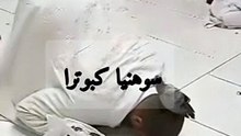 Viral Video of a Man's Calmful Prayer in Kaba with Pigeon Moving on His Body | Kabootr k sath Namaz