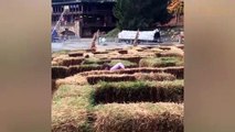 Maze Race Madness: Hilarious Fall in the Labyrinth Run! 