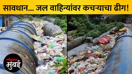 मुंबईकरांनो सावधान! नळाचं पाणी पिण्यागोदर हा व्हिडिओ पहा...
