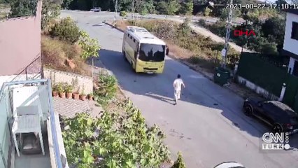 İETT otobüsü sokak köpeğini ezdi