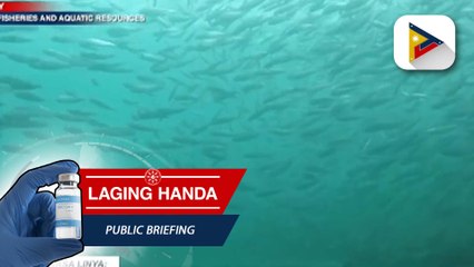 Panayam kay Spox. & Head, Information and Fisherfolk Coordination Unit ng BFAR, ukol sa malinis at masaganang karagatan program