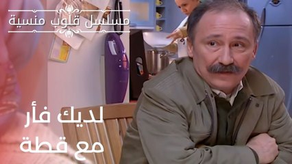 لديك فأر مع قطة | مسلسل قلوب منسية - الحلقة 20