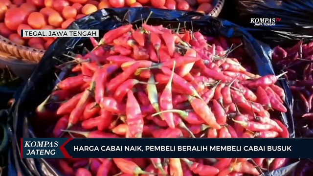 Harga Cabai Naik, Pembeli Beralih Membeli Cabai Busuk