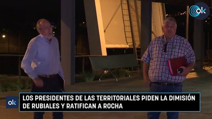 Los presidentes de las territoriales piden la dimisión de Rubiales y ratifican a Rocha