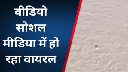 जालौन: युवती ने यमुना नदी में लगाई छलांग,तमाशबीन लोग बनाते रहे वीडियो