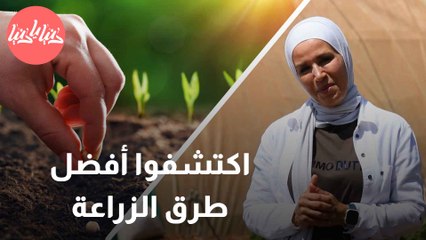كيف تبدأ رحلتك في زراعة البذور وزيادة إنتاجية المحصول