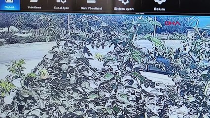 Yola çıkan köpek, kazaya neden oldu; 3 yaralı