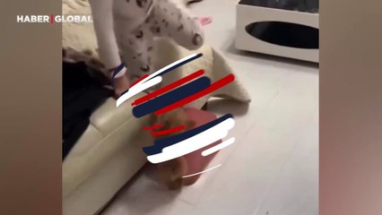 Yavru köpek, küçük kızdan öğrendiklerini böyle uyguladı