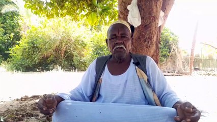 وافر ورخيص.. كاميرا ten ترصد موسم حصاد الليمون للمزارعين فى محافظة أسوان