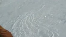 MVI_0615