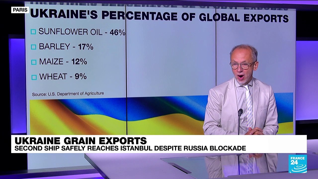 Ukraine grain exports: Second ship safely reaches Istanbul despite Russia blockade