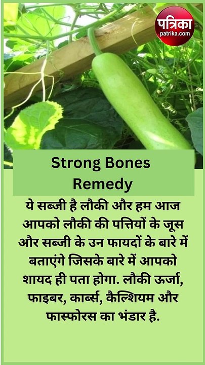लौकी की पत्तियों में हड्डियों को लोहा बनाने की है ताकत, वेट से लेकर ब्लड शुगर तक घटा देगी इसकी सब्जी