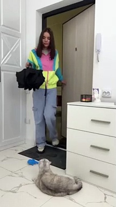 There was no trace of Sonya's pranks  #cat #cats