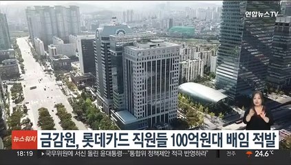 Download Video: 금감원, 롯데카드 직원들 100억원대 배임 적발