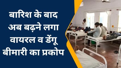 सीकर: बारिश के बाद बढ़ा डेंगू व मलेरिया का प्रकोप, जानिए चिकित्सकों ने दी यह सलाह