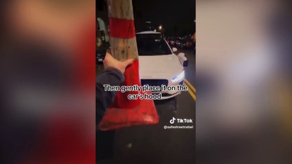 Sürücüsüz taksilere dubayla savaş açtılar