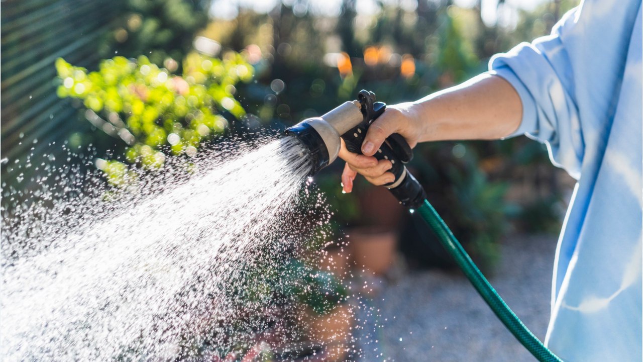 Garten gießen: Helfen Gartenwasserzähler beim Sparen?