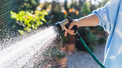 Garten gießen: Helfen Gartenwasserzähler beim Sparen?