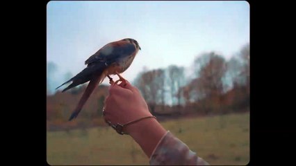 Tria (Tria - del sentimento del tradire) by Giulia Grandinetti - Official Teaser