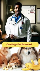 Can Dogs Eat Bananas