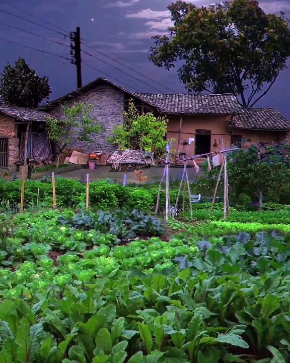 Life is a Nature
