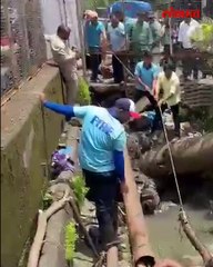 कल्याणात  पुन्हा गायकवाड यांची चर्चा कारण_1