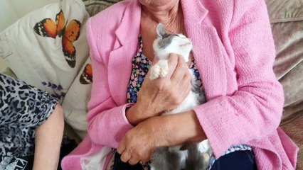 Special needs kitty born on a farm finds loving home
