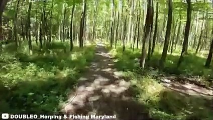 20 Scariest Snake Encounters of The Year