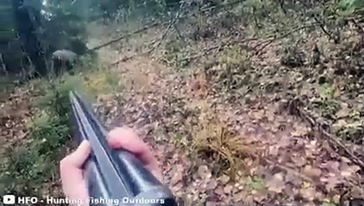 12 Times Hunters Messed With The Wrong Animals (Part 5)