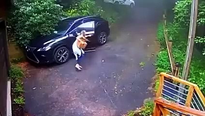 12 Scariest Bear Encounters Caught on Security Camera