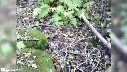 12 Times Hunters Messed With The Wrong Animals (Part 4)