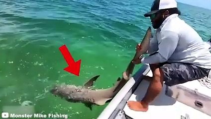 30 Scariest Shark Encounters of The Year (Part 2)