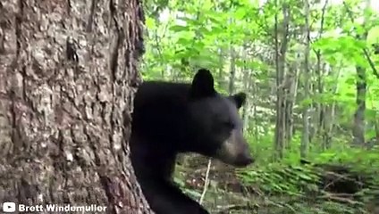 12 Times Hunters Messed With The Wrong Animals (Part 2)