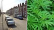 Leeds headlines 29 August: Homeless cannabis gardener jailed after Wakefield raid