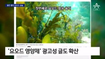 “피폭 막는다”…불안감 틈탄 요오드 상술