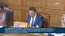 ΕΙΣΗΓΗΣΗ ΤΟΥ ΒΟΥΛΕΥΤΗ ΝΔ ΓΙΩΡΓΟΥ ΚΟΤΡΩΝΙΑ ΕΠΙΤΡΟΠΗ ΟΙΚΟΝΟΜΙΚΩΝ 29-8-23