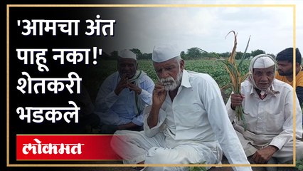 कर्ज काढलं... पिक करपलं... शेतकरी मेटाकूटीला... दुष्काळ जाहीर होणार का?