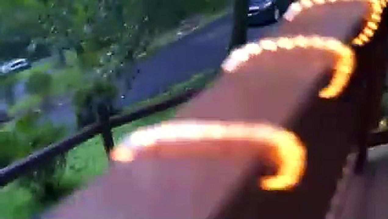 6 Bear Encounters You Don't Want to See