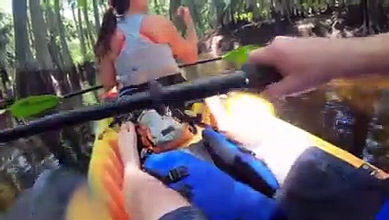 6 Crocodile Encounters You Should Avoid Watching (Part 6)
