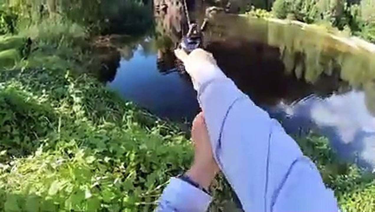 6 Crocodile Encounters You Should Avoid Watching