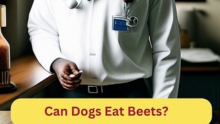 Can Dogs Eat Beets