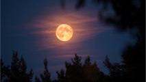 La Pleine Lune bleue du 31 août en Poissons va fortement impacter ces 3 signes astro