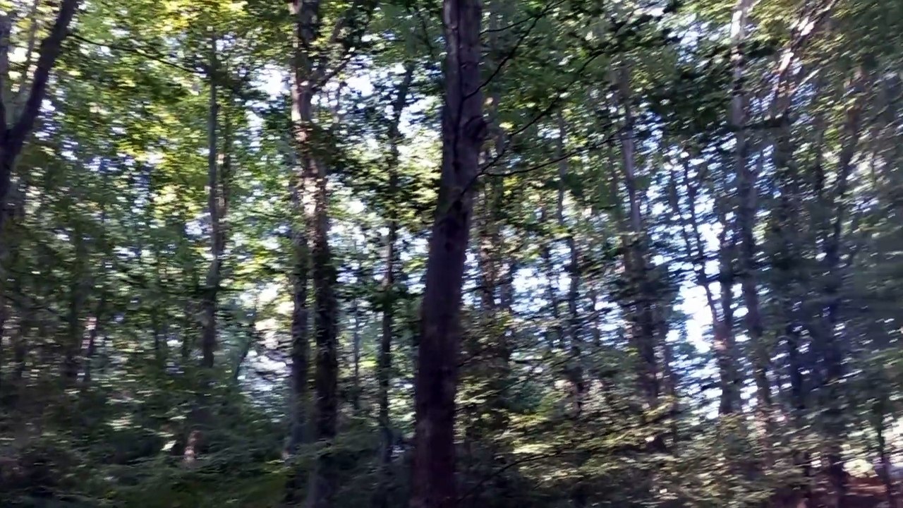 Taşdelen Picnic Ground (July 2023)