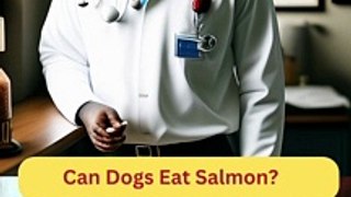 Can Dogs Eat Salmon